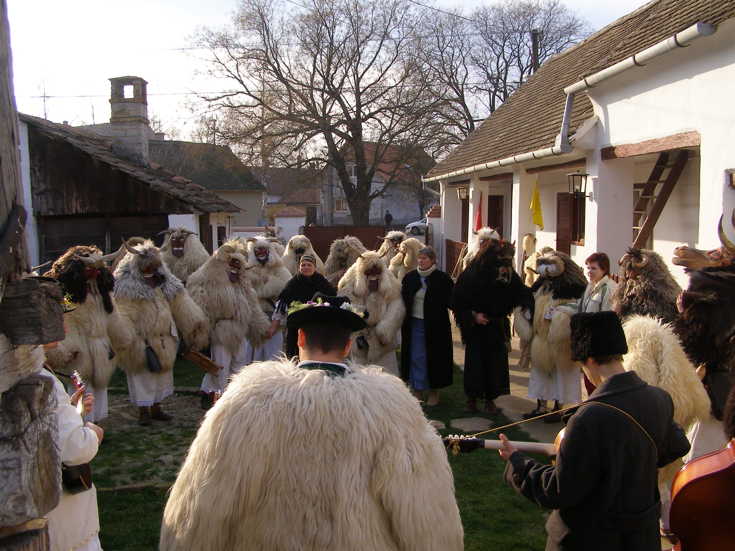 Busó festivities at Mohács: masked end-of-winter carnival custom